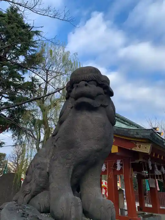 浅草神社の狛犬
