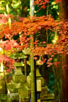 最乗寺（道了尊）(神奈川県)