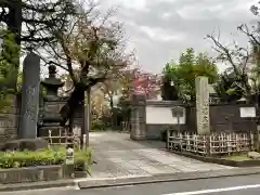 薬師寺　南蔵院 の山門