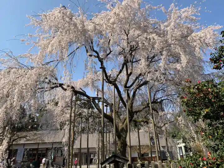 足羽神社(福井県)