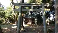 温泉神社の鳥居