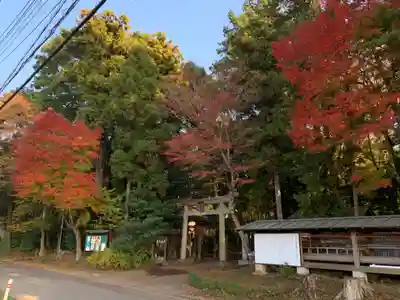 香取神社(千葉県)