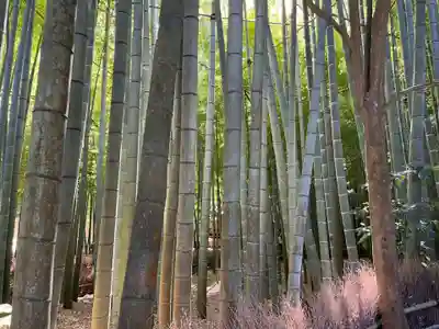 報国寺(神奈川県)