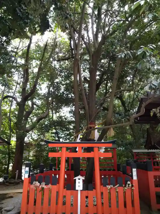 賀茂御祖神社(下鴨神社)の末社・摂社