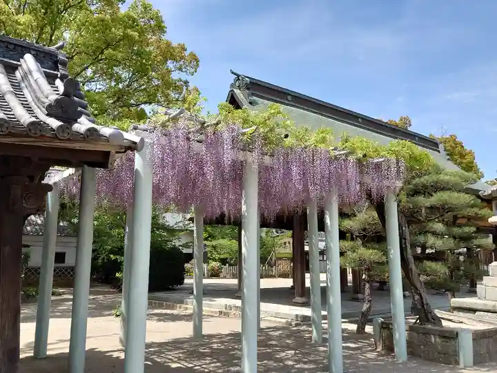 曽根天満宮の庭園