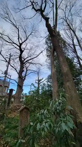 柞祖霊社の自然