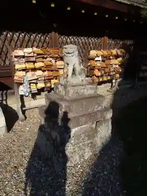 梅宮大社の狛犬