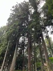 大宮温泉神社(栃木県)(2022年10月13日(木) 17時14分31秒投稿)