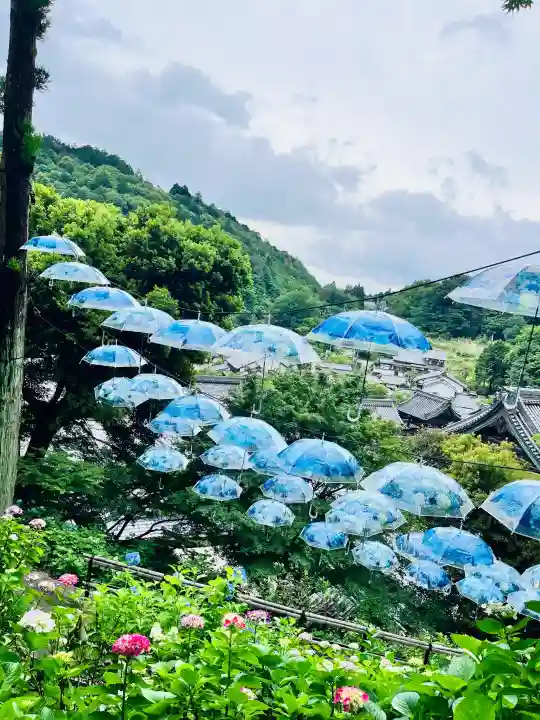 柳谷観音 楊谷寺(京都府)