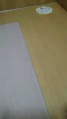 明治神宮(東京都)