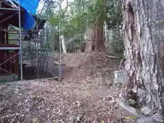 八王子神社の自然