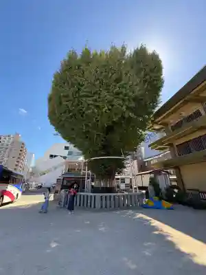櫛田神社(福岡県)