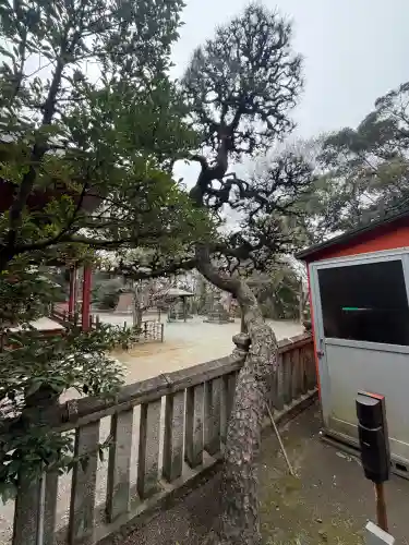 日吉神社の{uncategorized: "未分類", other: "その他", undefined: "問題あり", building: "その他建物", grave: "お墓", sacred_gate: "鳥居", guardian: "狛犬", statue: "像", buddha: "仏像", history: "歴史", nature: "自然", garden: "庭園", animal: "動物", pagoda: "塔", temizu: "手水舎", mountain_gate: "山門・神門", sanctuary: "本殿・本堂", subordinate: "末社・摂社", art: "芸術", scenery: "景色", jizo: "地蔵", ema: "絵馬", goshuin: "御朱印", omikuji: "おみくじ", items: "授与品その他", amulet: "お守り", goshuincho: "御朱印帳", eats: "食事", festival: "お祭り", votive_dance: "神楽", shichigosan: "七五三参", wedding: "結婚式", experience: "体験その他", initially: "初詣", around: "周辺", anti_infection: "感染症対策"}