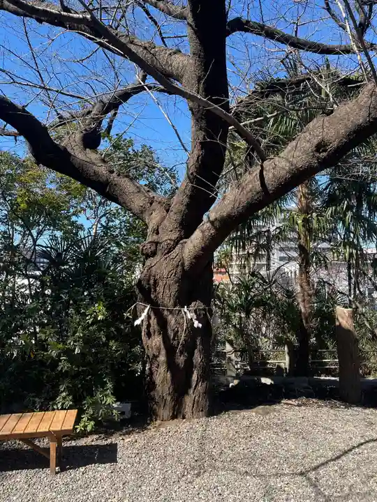 牛天神北野神社のその他建物