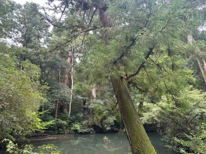 伊勢神宮外宮(豊受大神宮)(三重県)
