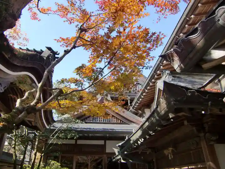 成福院(和歌山県)