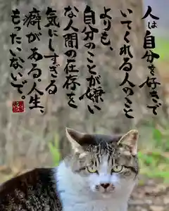 専念寺(大阪府)(2022年06月03日(金) 20時10分03秒投稿)