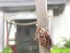 飯縄神社 奥社(長野県)