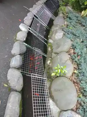 阿佐ヶ谷神明宮(東京都)