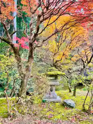 大谷寺の{uncategorized: "未分類", other: "その他", undefined: "問題あり", building: "その他建物", grave: "お墓", sacred_gate: "鳥居", guardian: "狛犬", statue: "像", buddha: "仏像", history: "歴史", nature: "自然", garden: "庭園", animal: "動物", pagoda: "塔", temizu: "手水舎", mountain_gate: "山門・神門", sanctuary: "本殿・本堂", subordinate: "末社・摂社", art: "芸術", scenery: "景色", jizo: "地蔵", ema: "絵馬", goshuin: "御朱印", omikuji: "おみくじ", items: "授与品その他", amulet: "お守り", goshuincho: "御朱印帳", eats: "食事", festival: "お祭り", votive_dance: "神楽", shichigosan: "七五三参", wedding: "結婚式", experience: "体験その他", initially: "初詣", around: "周辺", anti_infection: "感染症対策"}