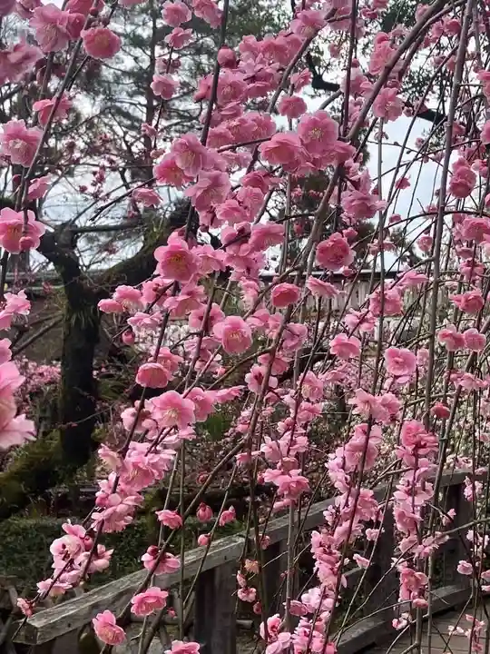 北野天満宮(京都府)