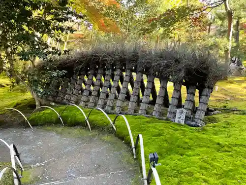 宝厳院(京都府)