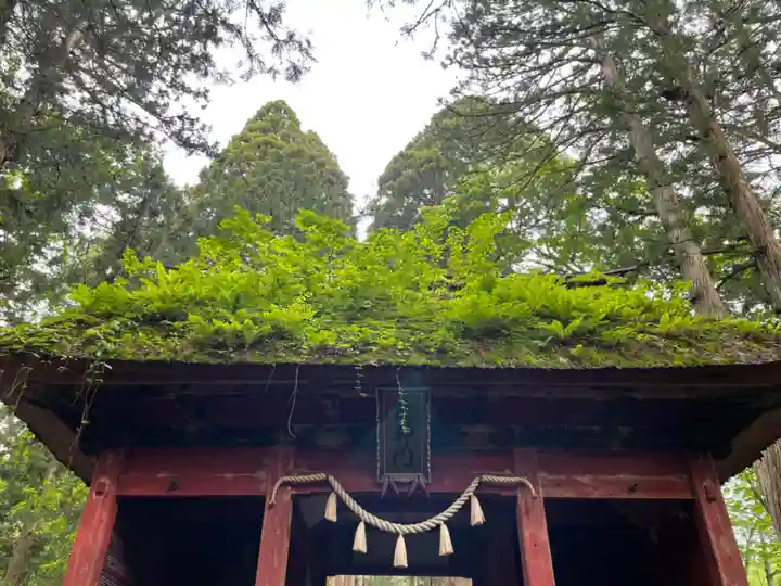 戸隠神社奥社(長野県)