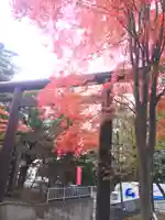 北広島市総鎮守 廣島神社の鳥居