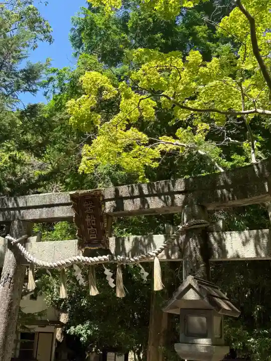 磐船神社の{uncategorized: "未分類", other: "その他", undefined: "問題あり", building: "その他建物", grave: "お墓", sacred_gate: "鳥居", guardian: "狛犬", statue: "像", buddha: "仏像", history: "歴史", nature: "自然", garden: "庭園", animal: "動物", pagoda: "塔", temizu: "手水舎", mountain_gate: "山門・神門", sanctuary: "本殿・本堂", subordinate: "末社・摂社", art: "芸術", scenery: "景色", jizo: "地蔵", ema: "絵馬", goshuin: "御朱印", omikuji: "おみくじ", items: "授与品その他", amulet: "お守り", goshuincho: "御朱印帳", eats: "食事", festival: "お祭り", votive_dance: "神楽", shichigosan: "七五三参", wedding: "結婚式", experience: "体験その他", initially: "初詣", around: "周辺", anti_infection: "感染症対策"}