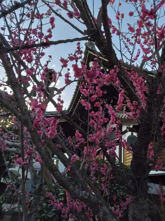 成就院(神奈川県)