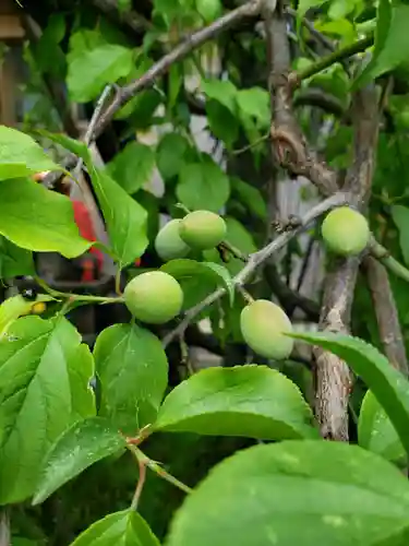 成願寺(東京都)