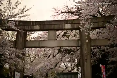 上野東照宮の鳥居