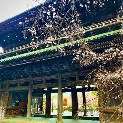 日蓮宗 総本山 塔頭 定林坊(じょうりんぼう)(山梨県)