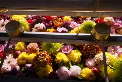 豊景神社の手水舎