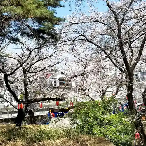 高稲荷神社の自然