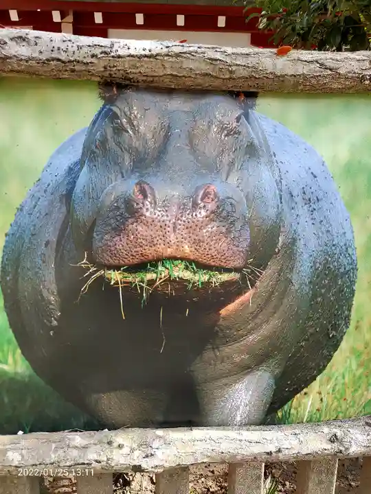 五方山熊野神社(東京都)