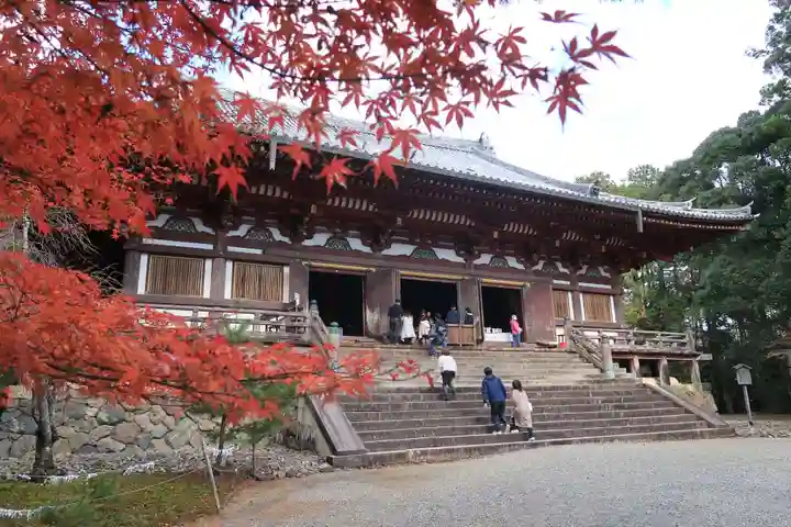 神護寺の本殿・本堂
