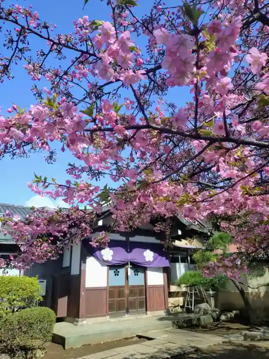 新井薬師(梅照院)(東京都)