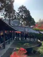 東福禅寺（東福寺）の建物その他