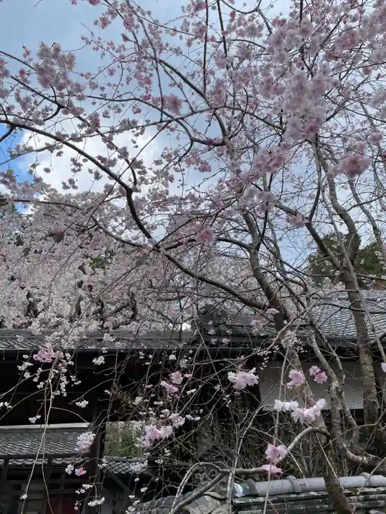 十輪寺(京都府)