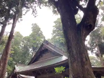 一之宮神社(千葉県)