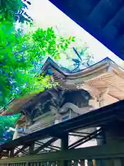 成田熊野神社の本殿