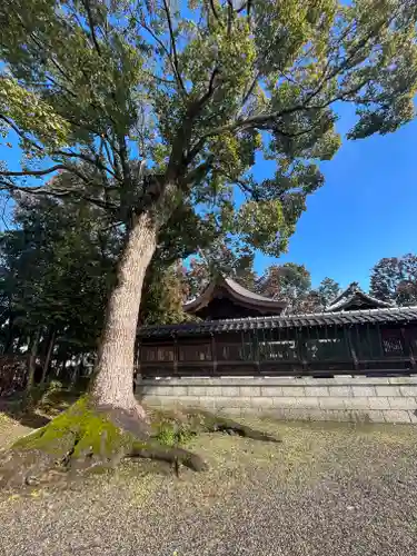 武道天神社の建物その他