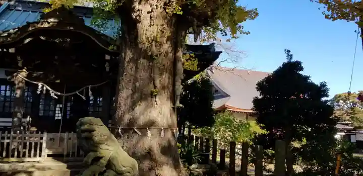 竜珠院(千葉県)