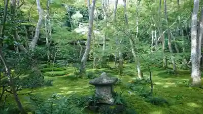 祇王寺(京都府)