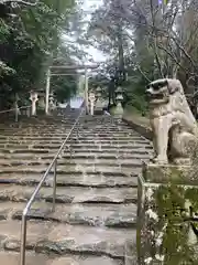 山口大神宮の狛犬