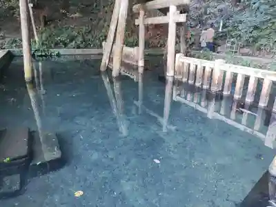 鹿島神宮(茨城県)