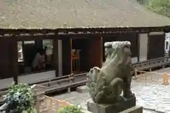 宇治上神社の狛犬