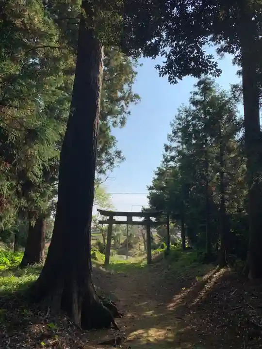 熊野神社(千葉県)