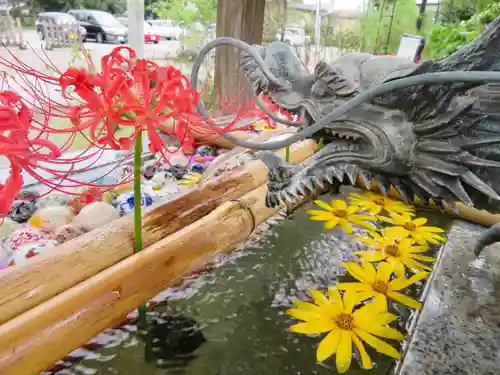 今市報徳二宮神社の手水舎